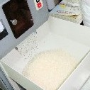 proimages/rice/003.jpg